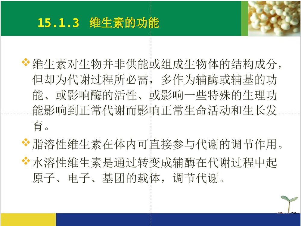 药物化学·维生素PPT课件下载（共76页）5