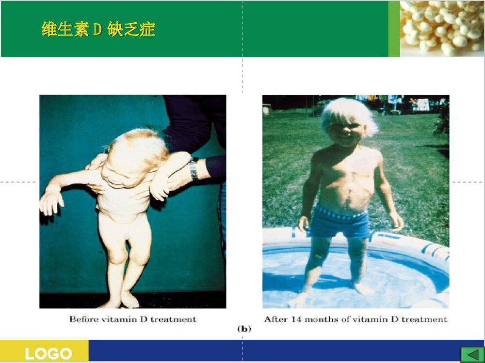 药物化学·维生素PPT课件下载（共76页）8