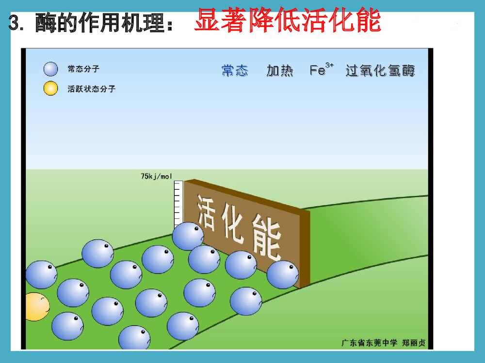 《细胞的能量供应和利用酶的本质及特性》化学PPT课件下载5