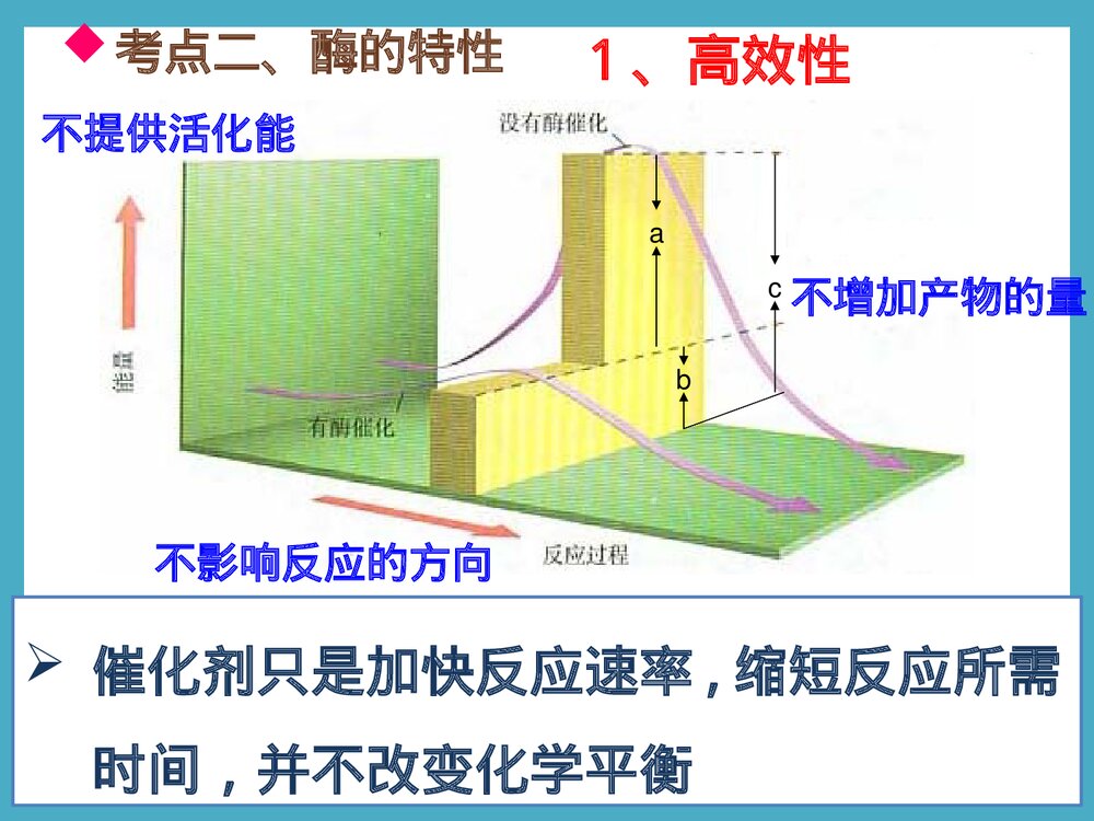 《细胞的能量供应和利用酶的本质及特性》化学PPT课件下载6