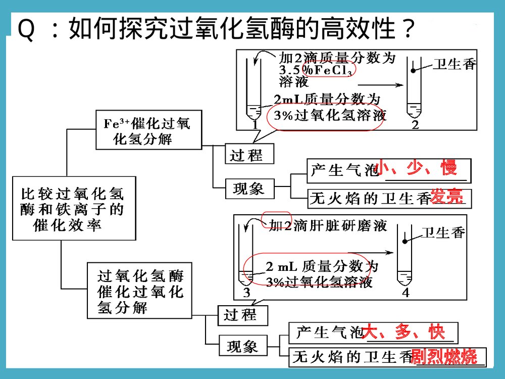 《细胞的能量供应和利用酶的本质及特性》化学PPT课件下载8