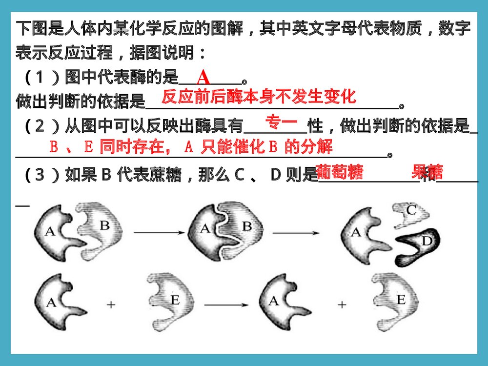 《细胞的能量供应和利用酶的本质及特性》化学PPT课件下载9