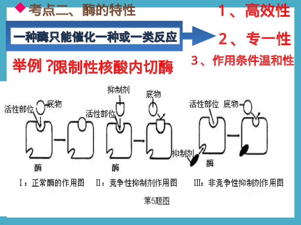 《细胞的能量供应和利用酶的本质及特性》化学PPT课件下载10