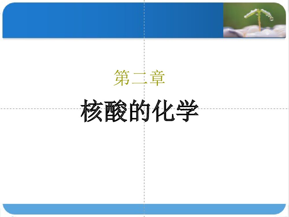 第二章 核酸的化学PPT课件下载(共143页)1