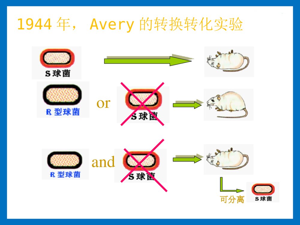 第二章 核酸的化学PPT课件下载(共143页)8