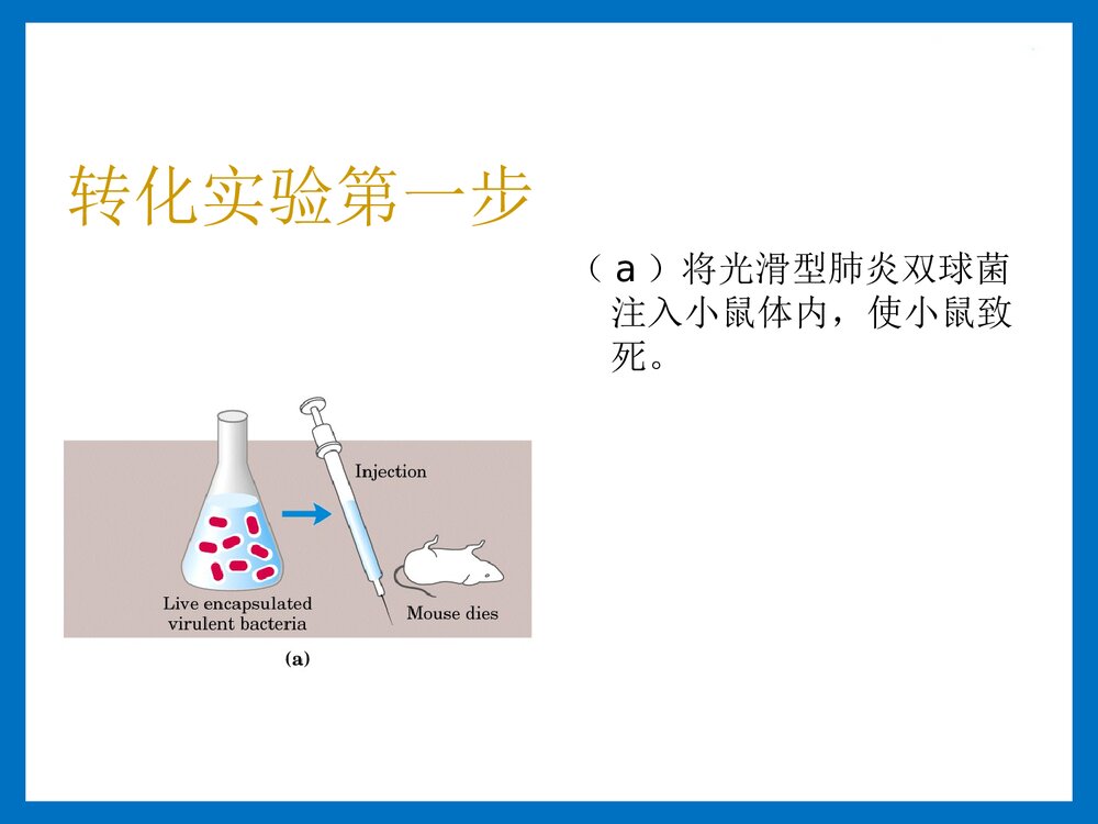 第二章 核酸的化学PPT课件下载(共143页)9