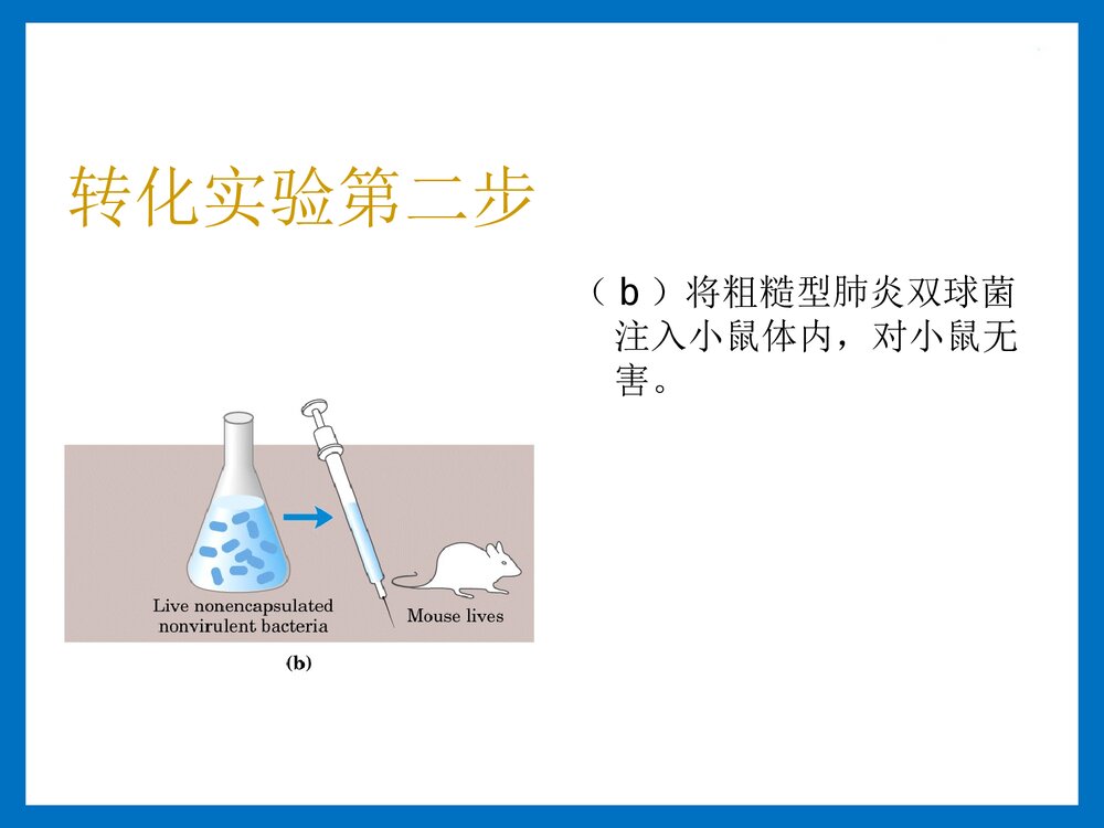 第二章 核酸的化学PPT课件下载(共143页)10