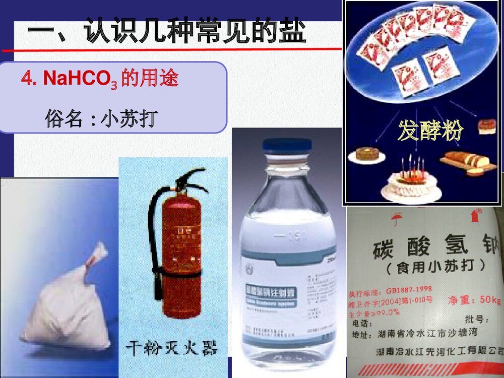 《常见的盐》粤教版九年级化学PPT课件下载10