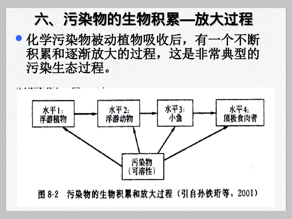 环境污染的生态对策PPT课件下载9