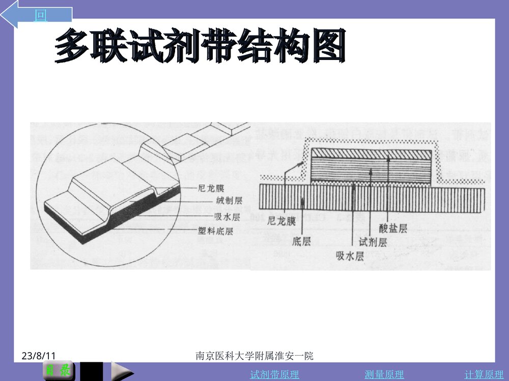 尿液分析仪及其临床应用PPT课件8