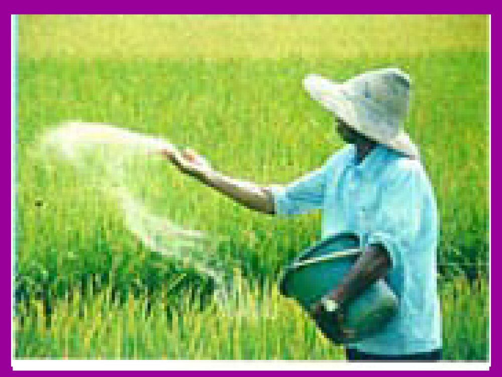 九年级下册《 第十一单元 盐 化肥 课题2 化学肥料》课件PPT下载2