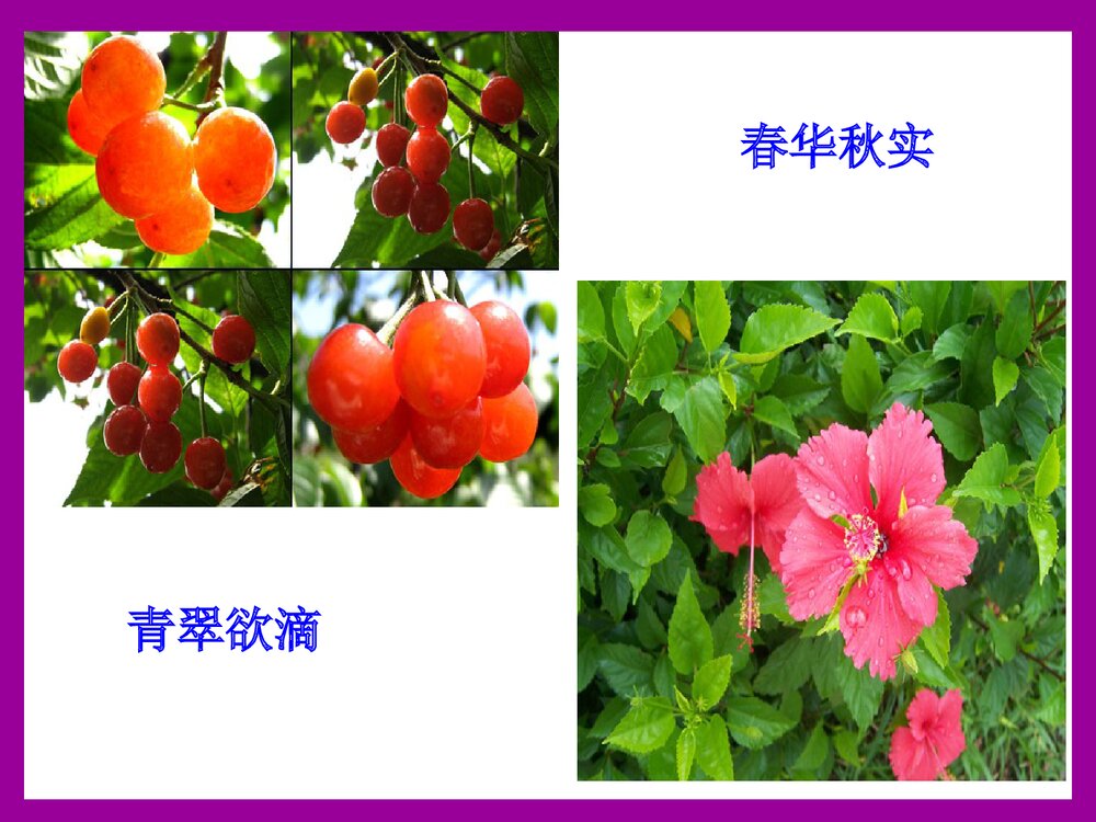 九年级下册《 第十一单元 盐 化肥 课题2 化学肥料》课件PPT下载3