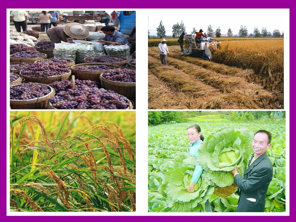 九年级下册《 第十一单元 盐 化肥 课题2 化学肥料》课件PPT下载4