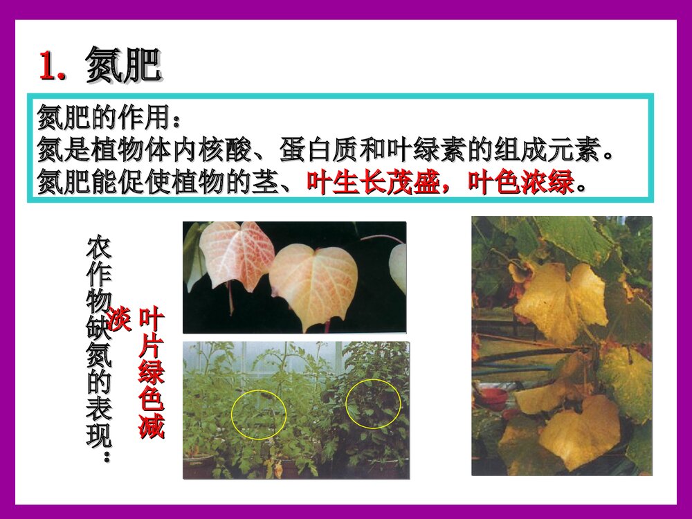 九年级下册《 第十一单元 盐 化肥 课题2 化学肥料》课件PPT下载7