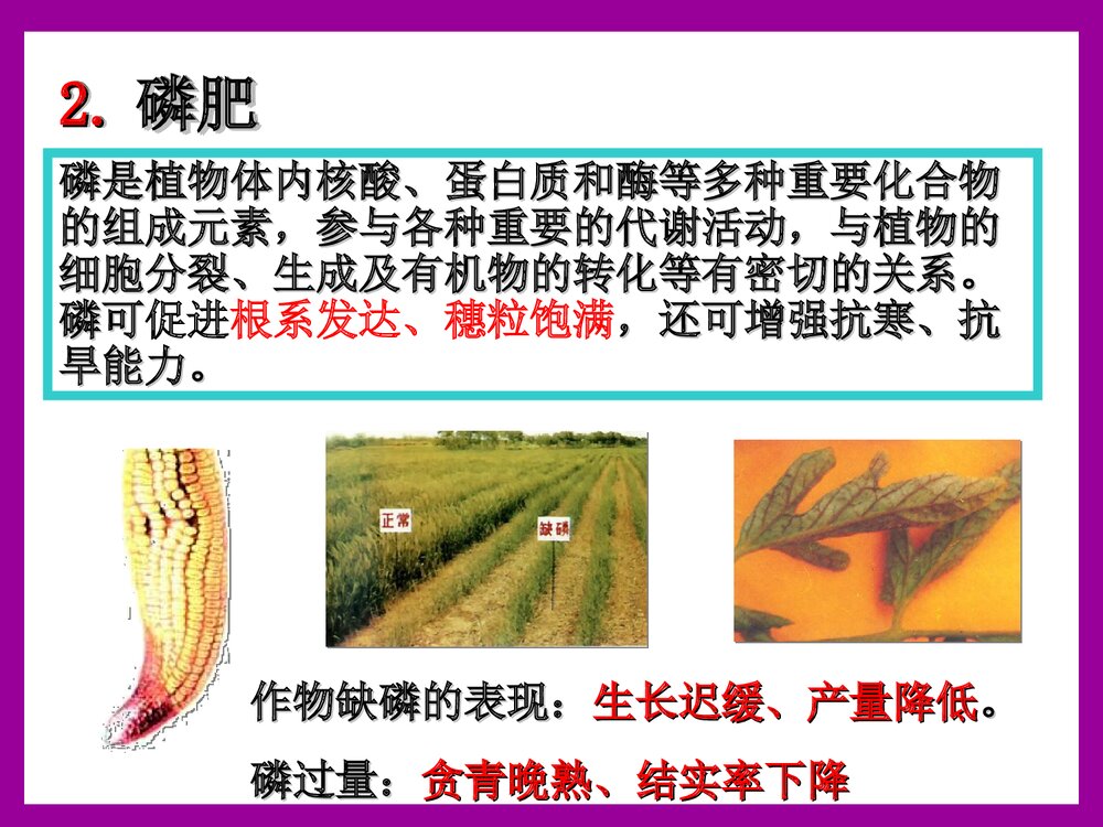 九年级下册《 第十一单元 盐 化肥 课题2 化学肥料》课件PPT下载10