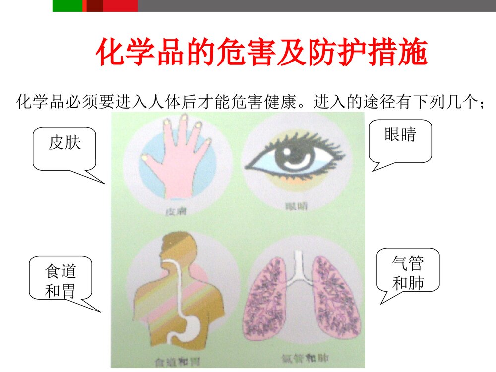 化学用品安全培训PPT课件下载4