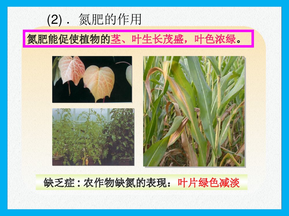 《课题2 化学肥料》PPT课件下载5