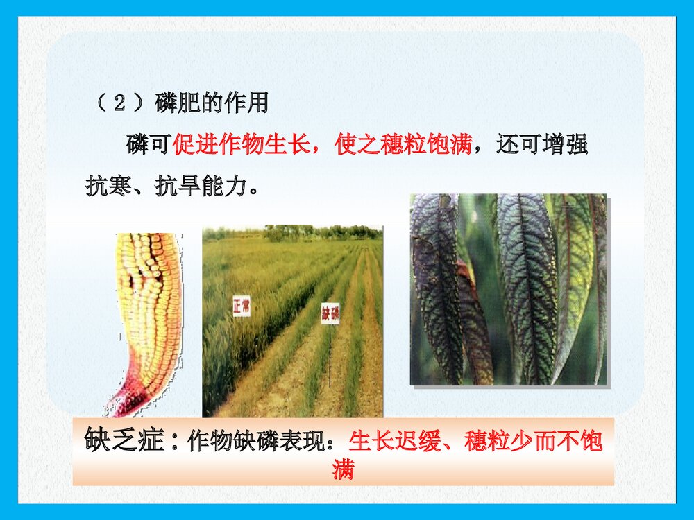 《课题2 化学肥料》PPT课件下载8