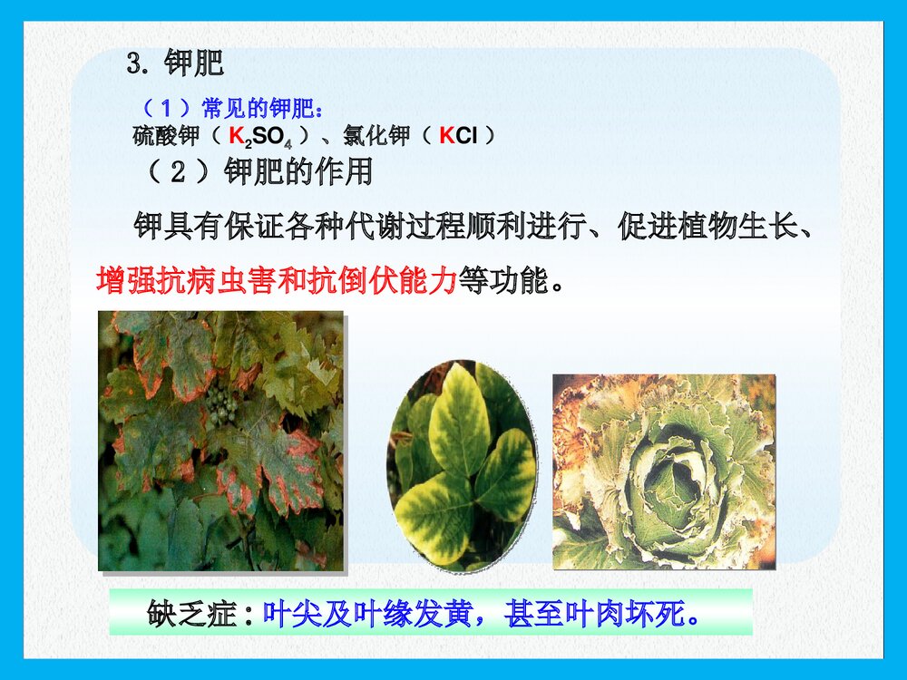 《课题2 化学肥料》PPT课件下载10