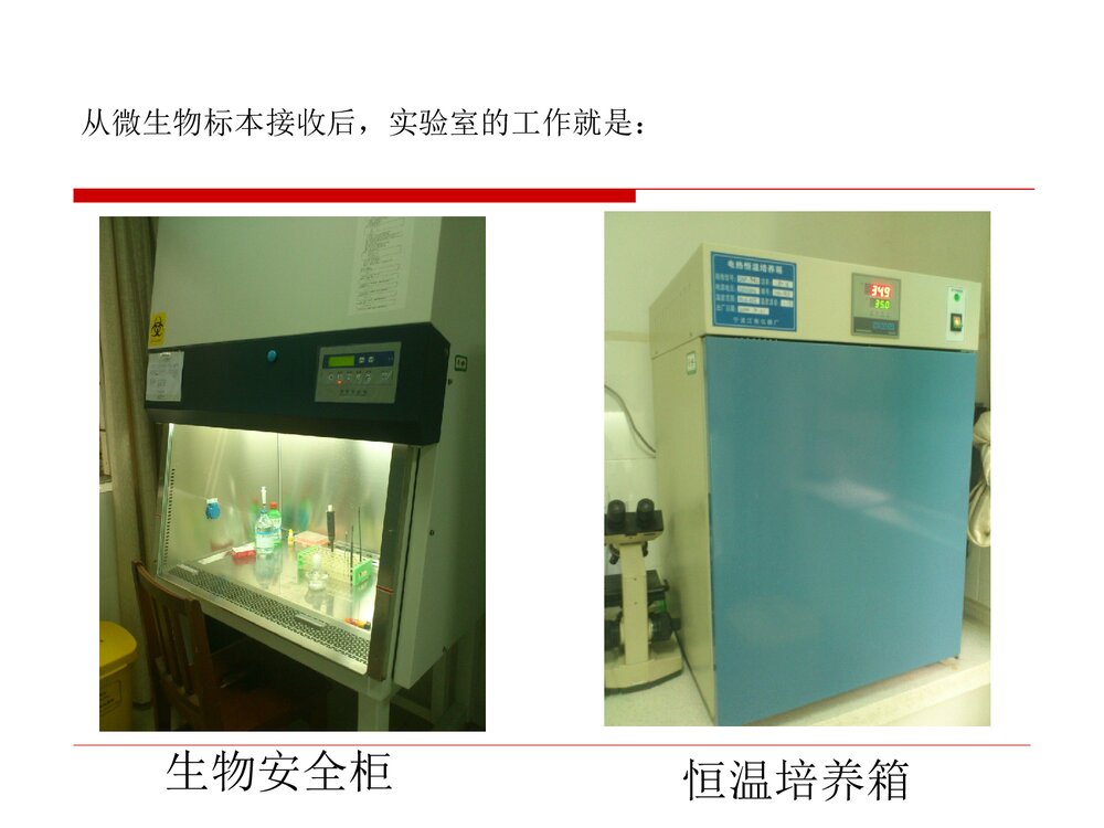 临床微生物标本的采集、运送和处理PPT课件下载3