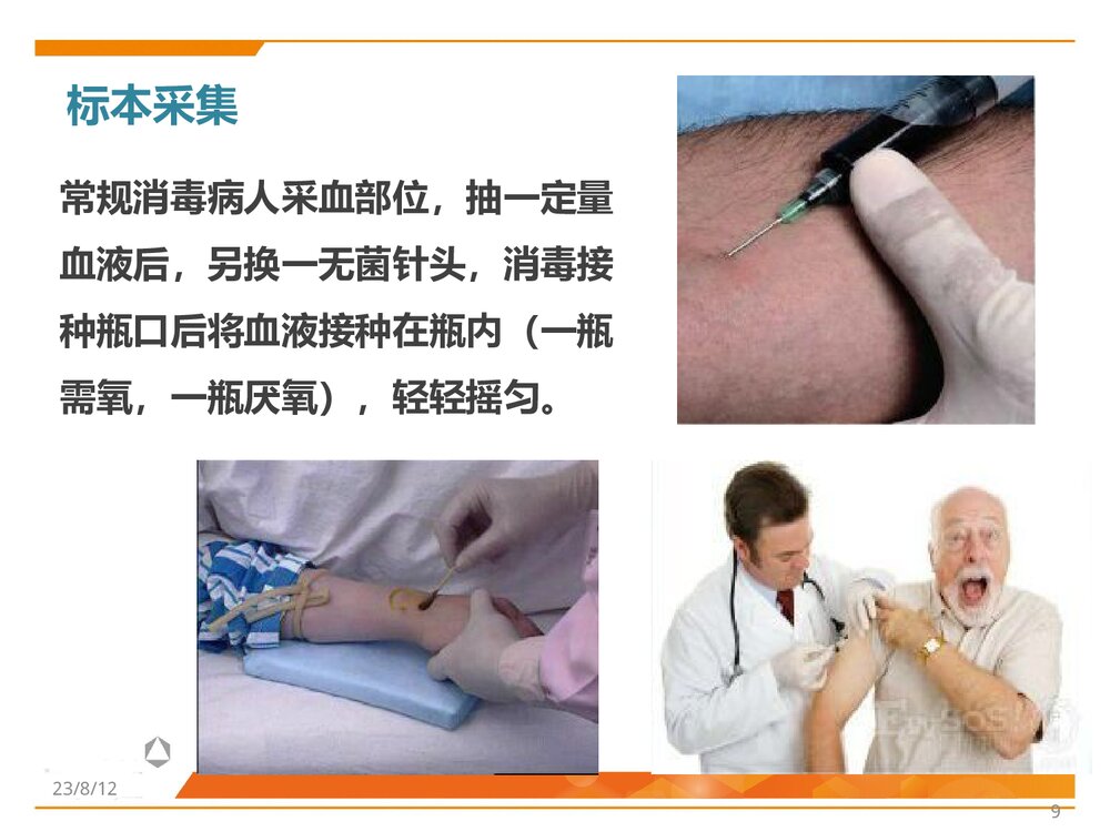 临床微生物标本采集、转运与处理PPT课件9