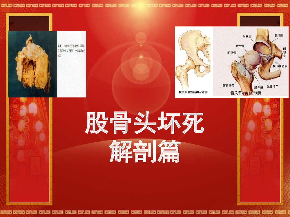 股骨头坏死解剖篇PPT课件1