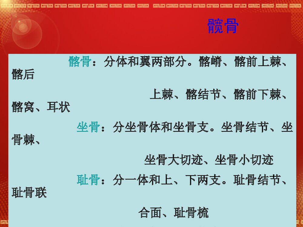 股骨头坏死解剖篇PPT课件8