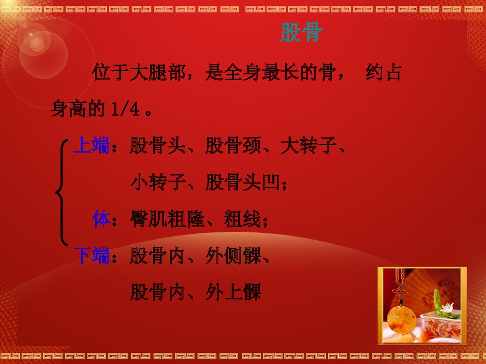 股骨头坏死解剖篇PPT课件10