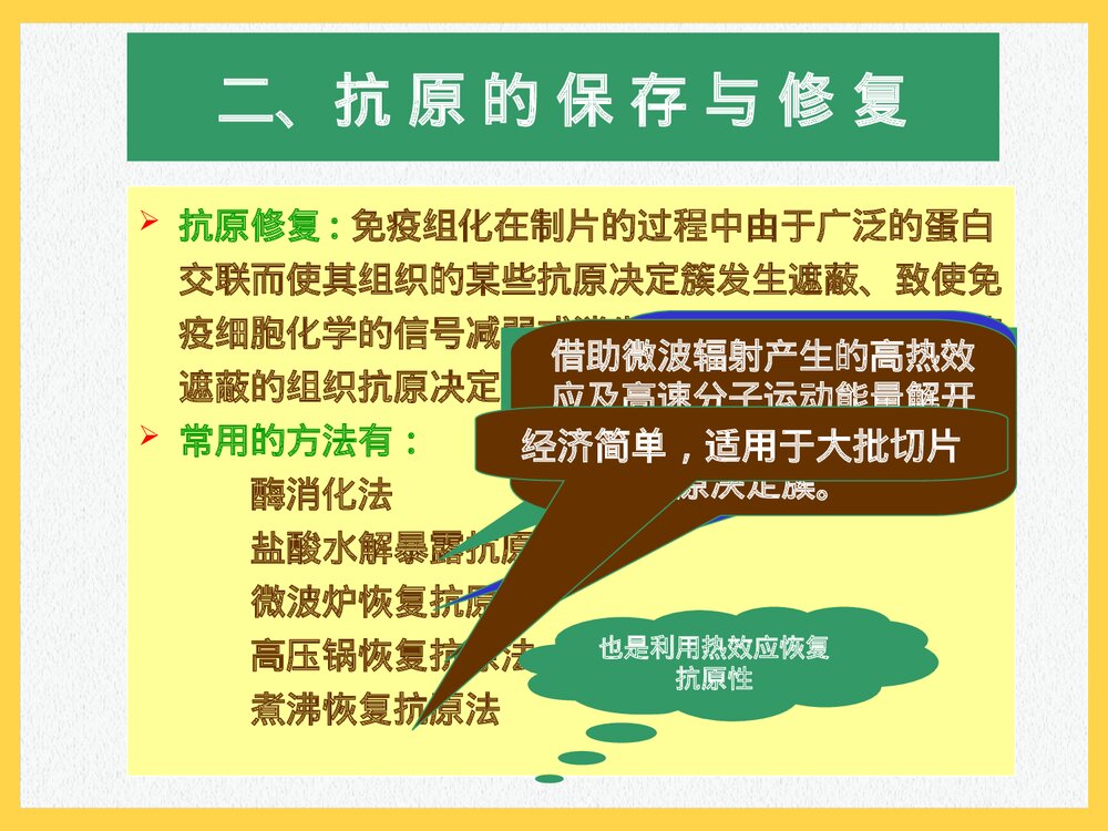 第十三章 免疫组织化学技术PPT课件(共95页)9