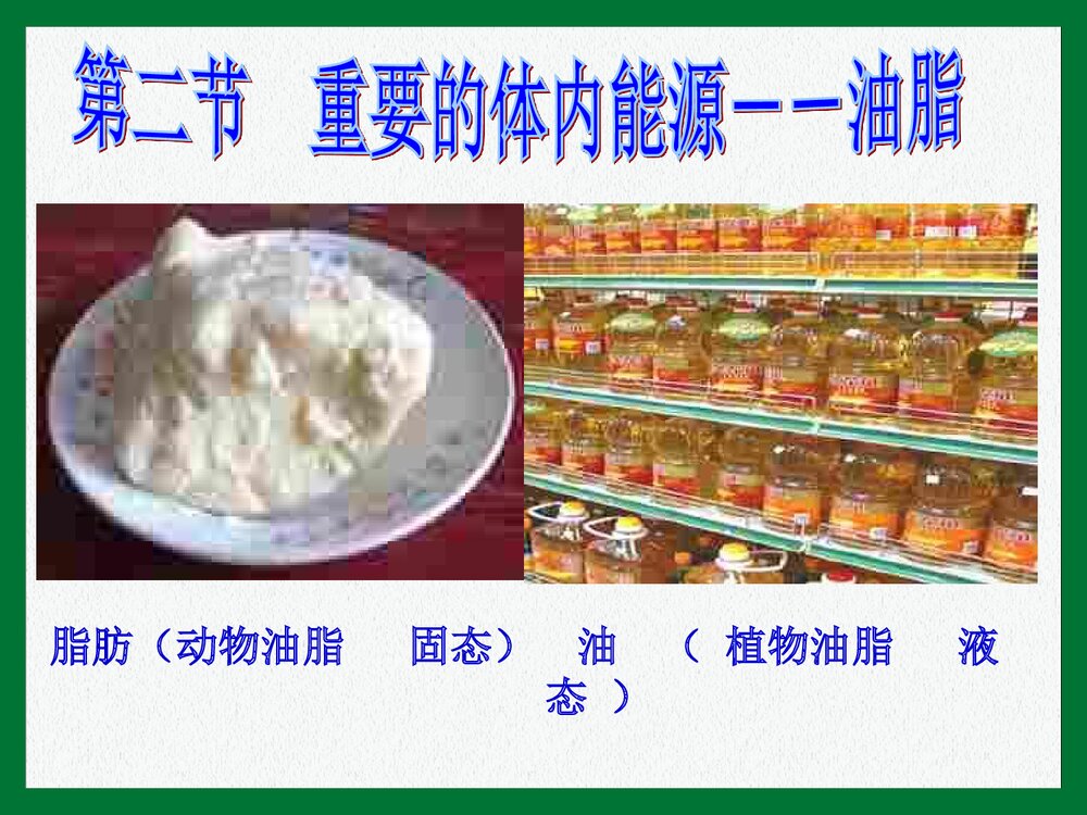 《第二节 重要的体内能源·油脂》初三化学上册课件PPT下载1