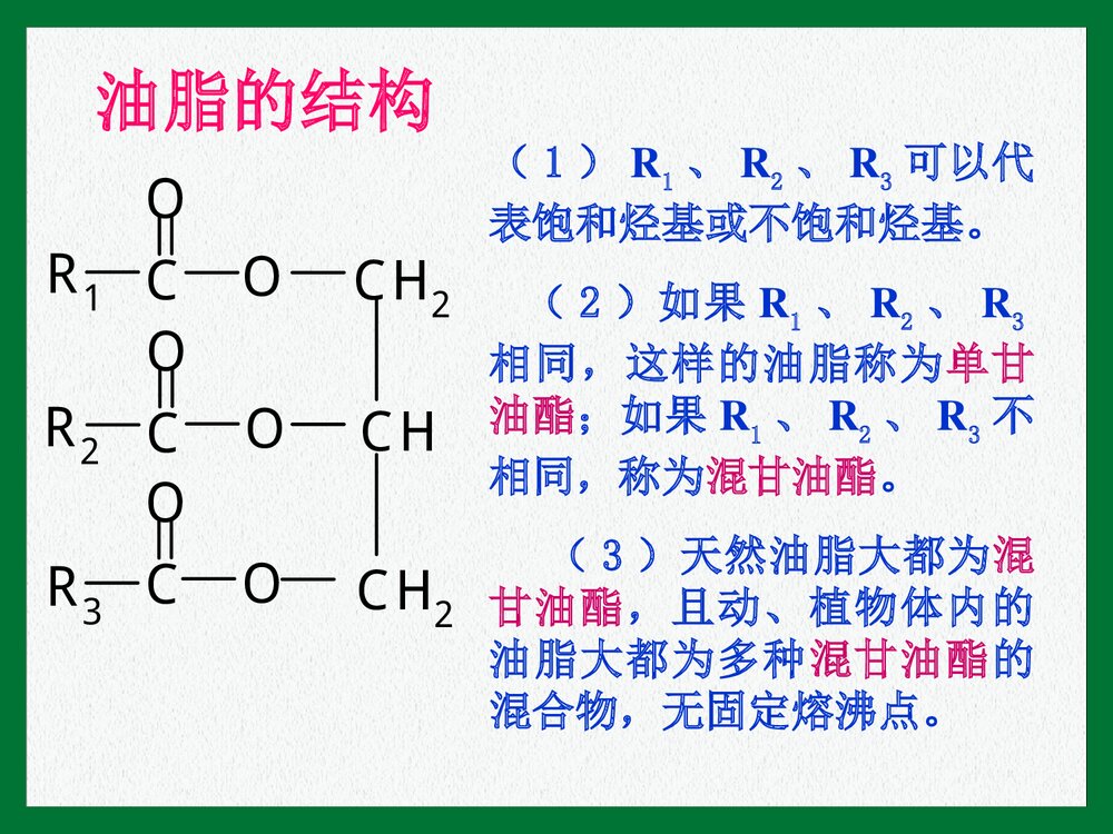 《第二节 重要的体内能源·油脂》初三化学上册课件PPT下载4