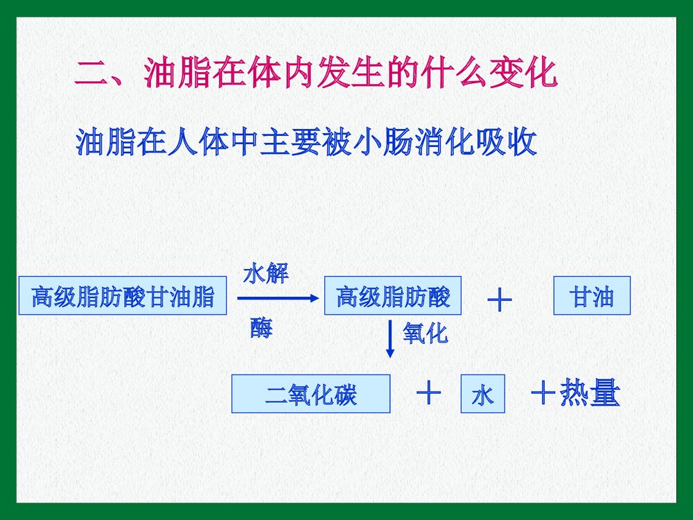 《第二节 重要的体内能源·油脂》初三化学上册课件PPT下载7