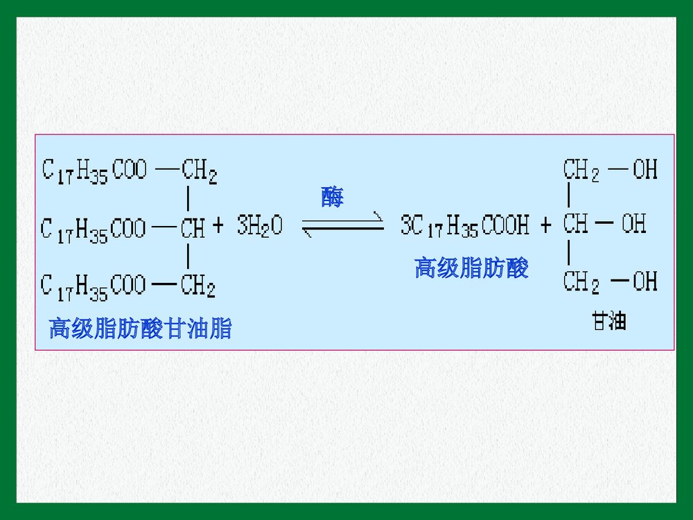 《第二节 重要的体内能源·油脂》初三化学上册课件PPT下载8