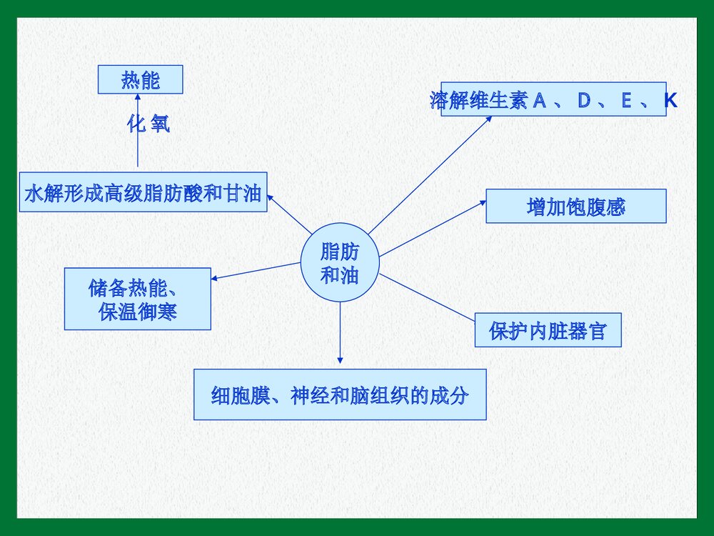 《第二节 重要的体内能源·油脂》初三化学上册课件PPT下载9