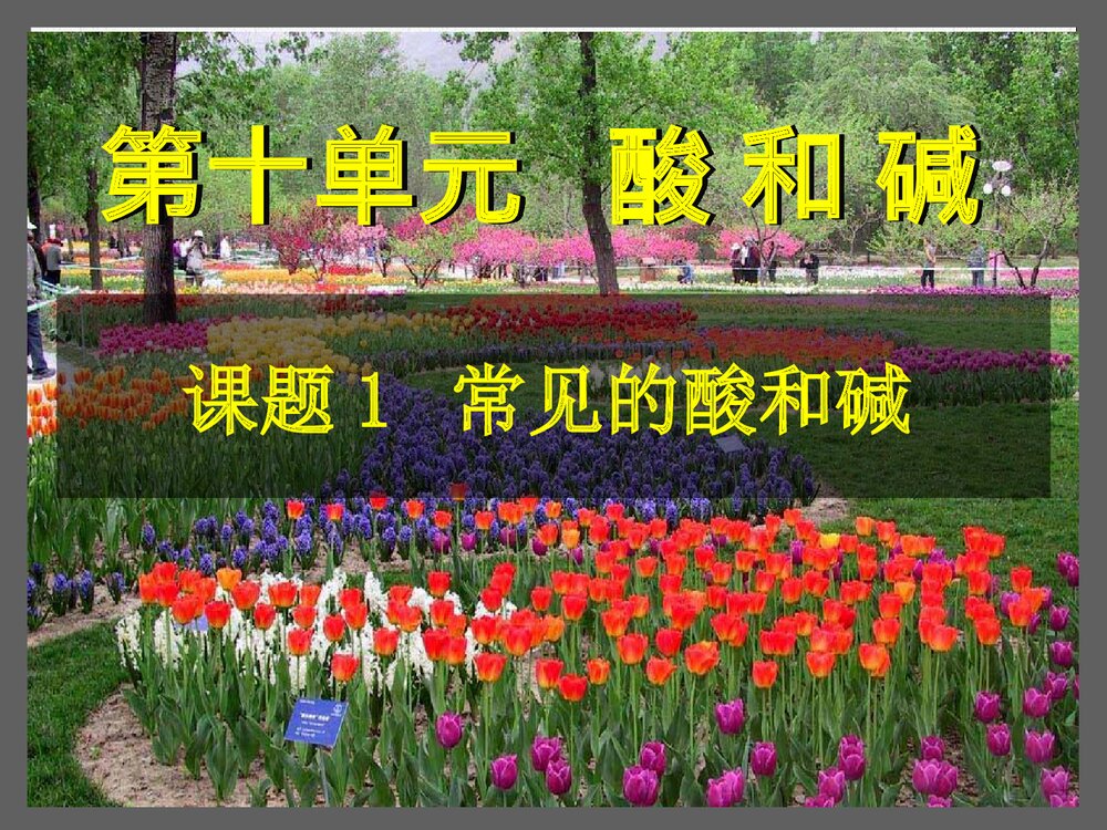 初三化学《第十单元 常见的酸和碱》PPT课件4