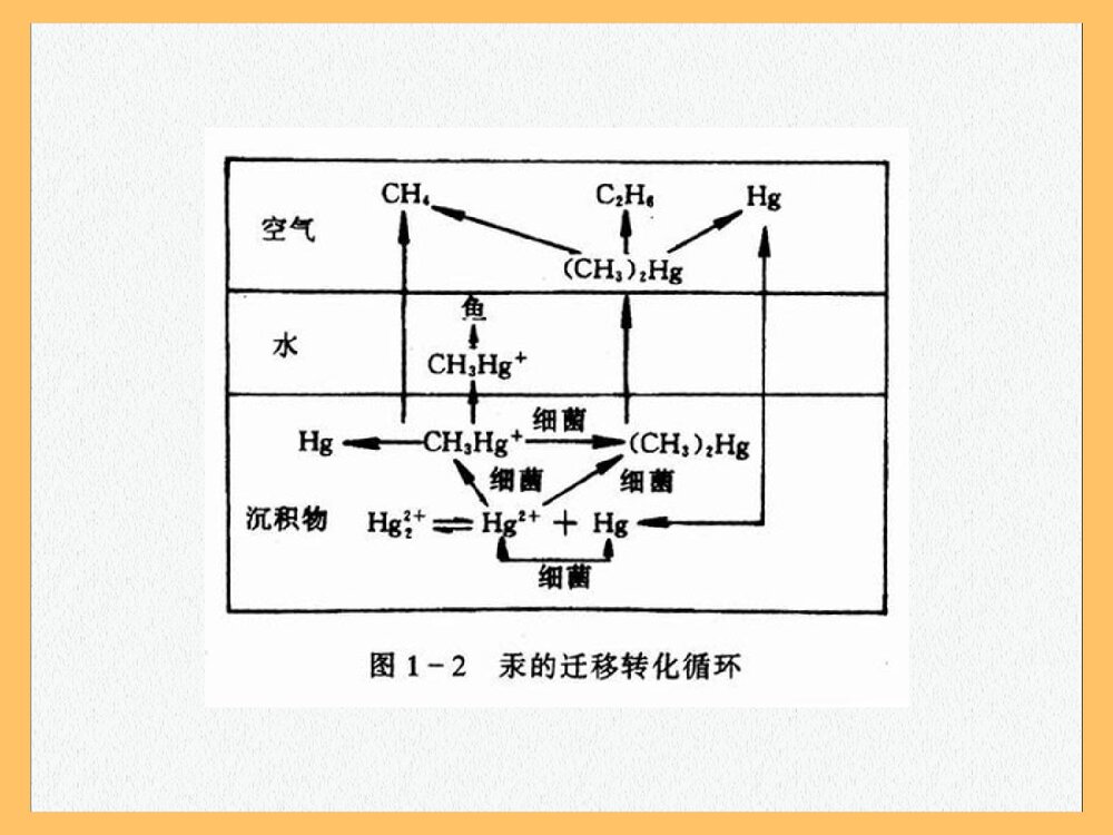 环境化学 第一章 绪论PPT课件下载(共87页)4