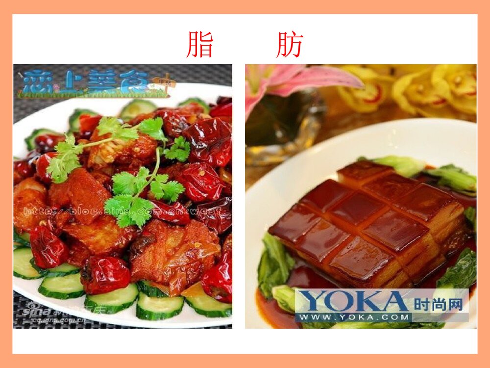 化学与生活·食品化学PPT课件下载9