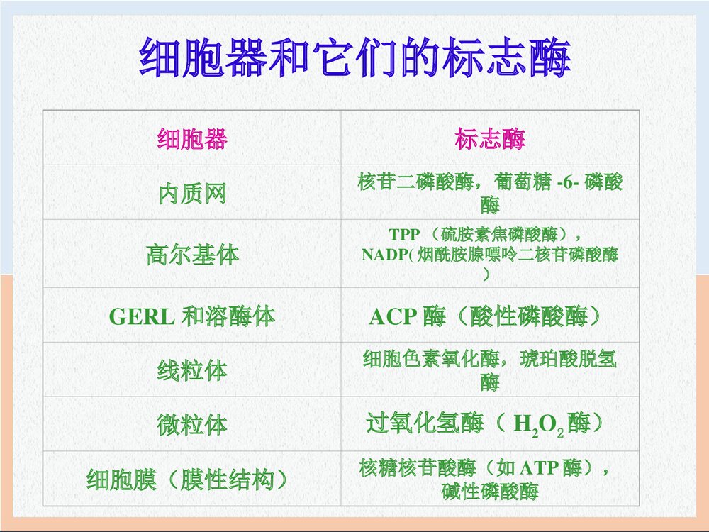 电镜细胞化学技术PPT课件下载(共56页)5