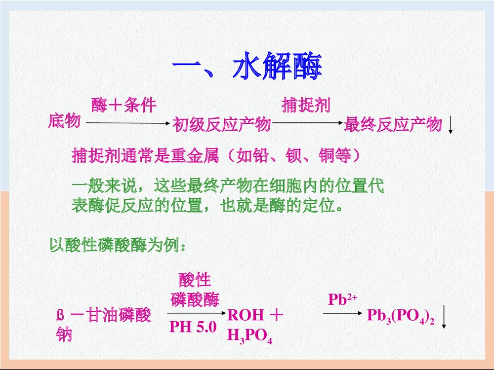 电镜细胞化学技术PPT课件下载(共56页)7