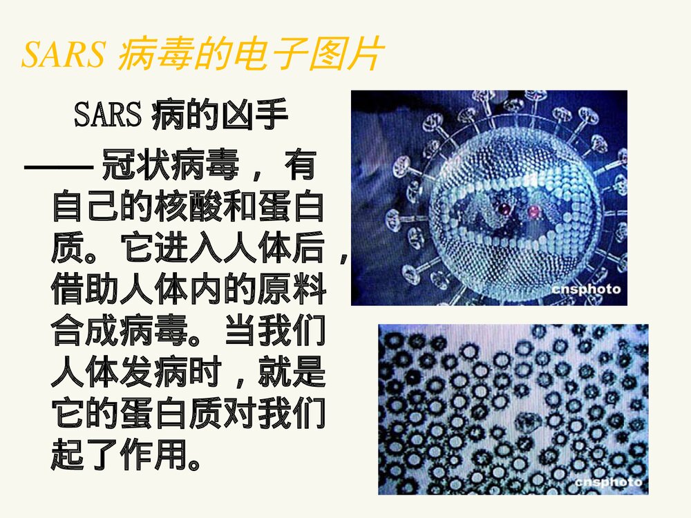 高中化学选修1《第一章 第三节 生命的基础·蛋白质》PPT课件下载2