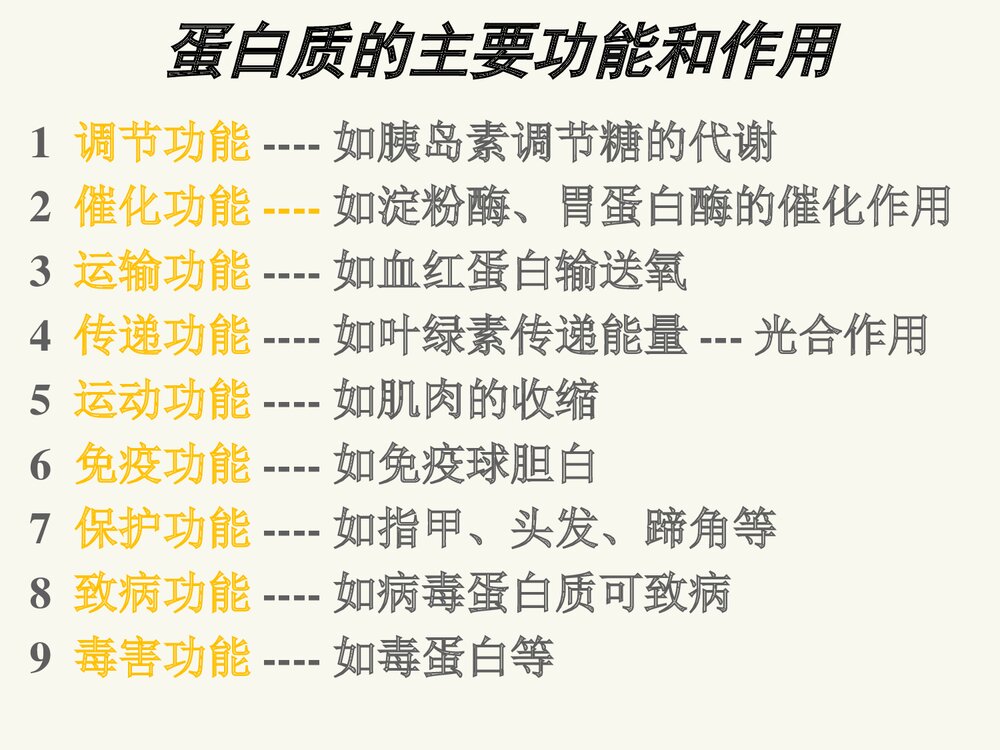 高中化学选修1《第一章 第三节 生命的基础·蛋白质》PPT课件下载3