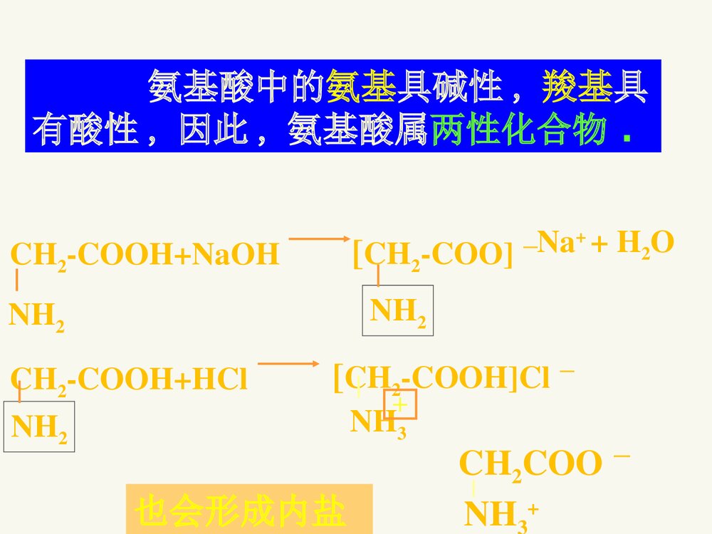 高中化学选修1《第一章 第三节 生命的基础·蛋白质》PPT课件下载8