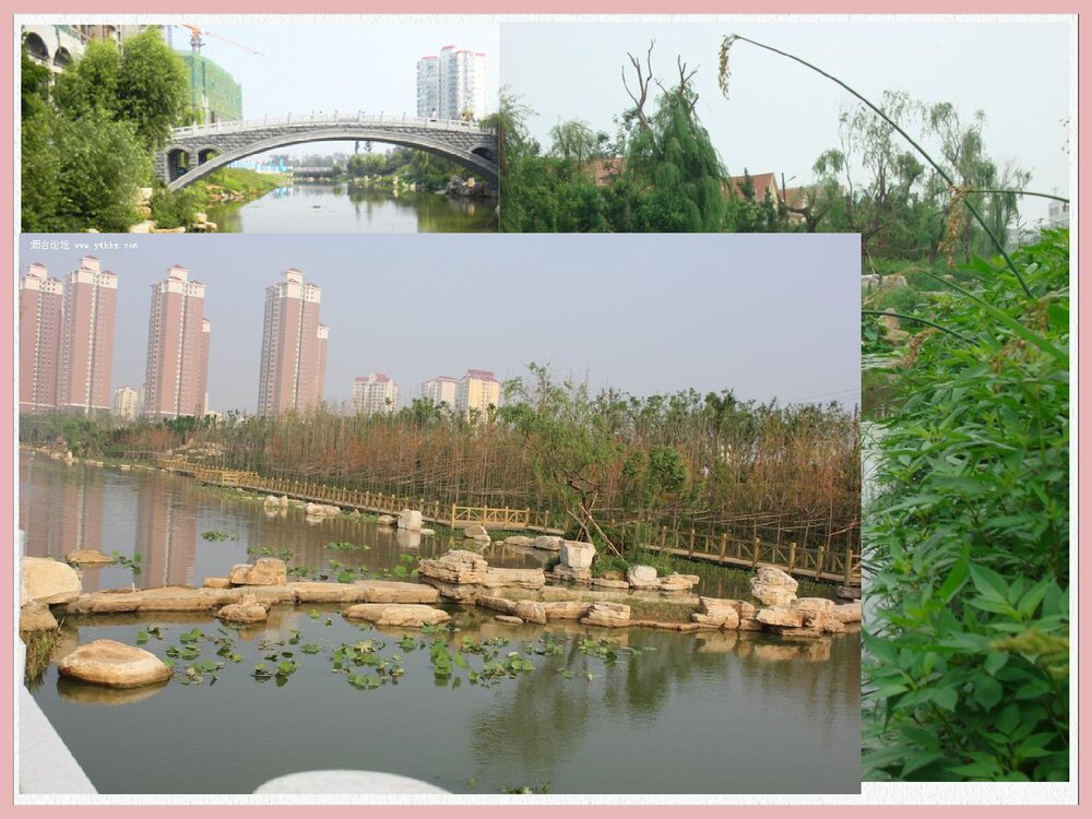 高中选修1生活化学《逛荡河氮的生物地球化学循环》PPT课件下载3