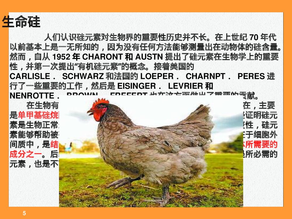 有机硅化学反应PPT课件(共112页)5