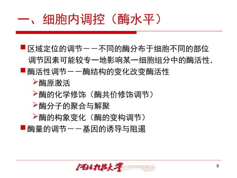 《生物化学 十三章 代谢的调节控制》PPT课件·王镜岩5