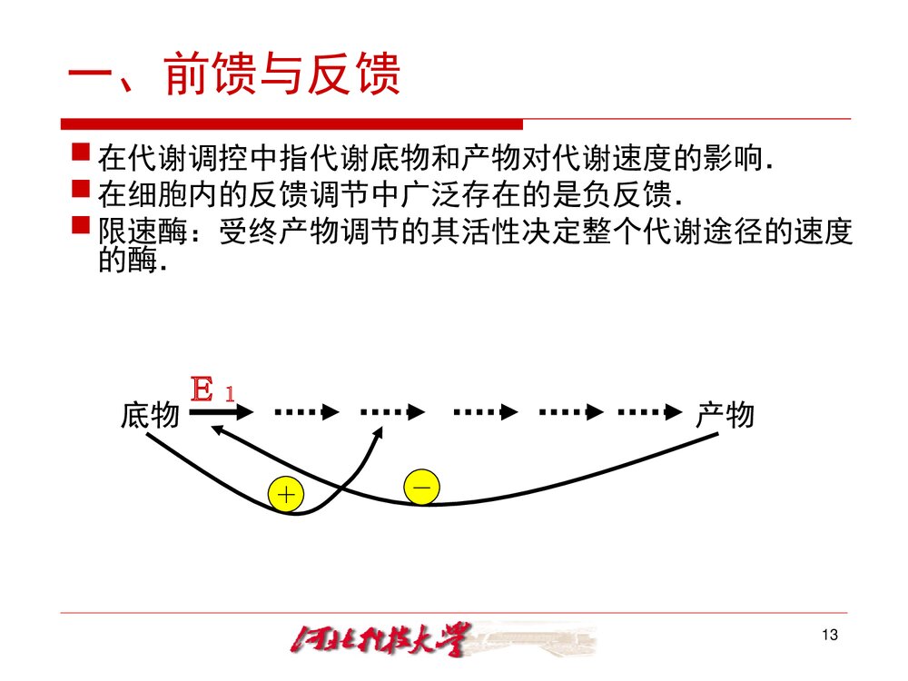《生物化学 十三章 代谢的调节控制》PPT课件·王镜岩10