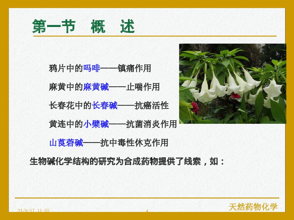 天然药物化学《第九章 生物碱》PPT课件下载(共107页)4