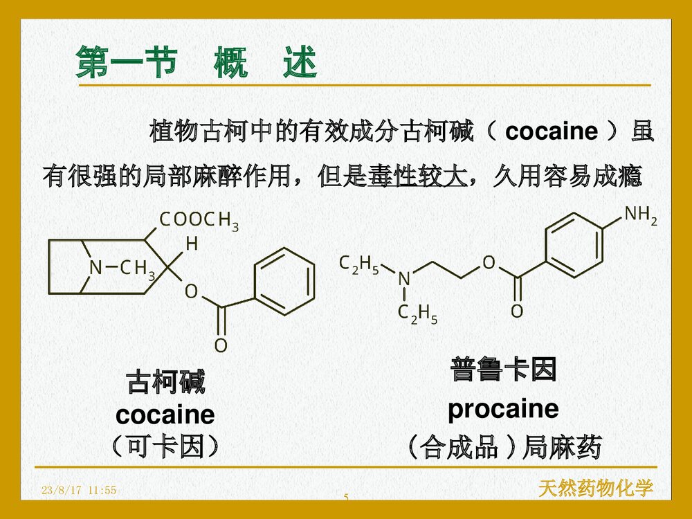 天然药物化学《第九章 生物碱》PPT课件下载(共107页)5