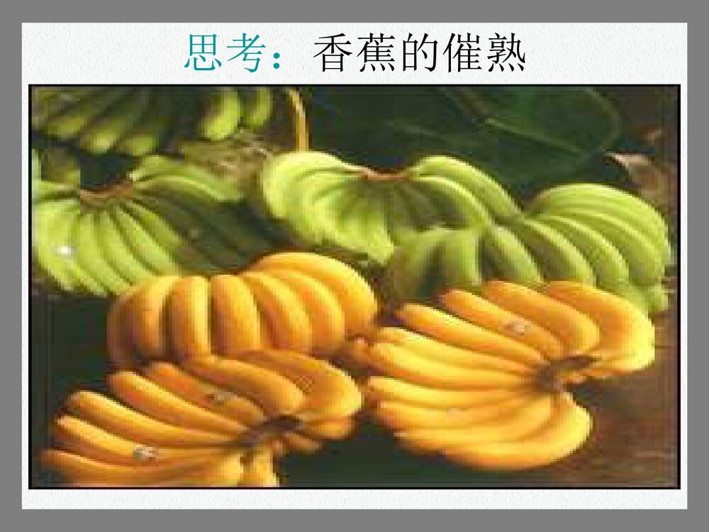 《来自石油和煤的两种基本化工原料---乙烯》高中化学PPT课件2