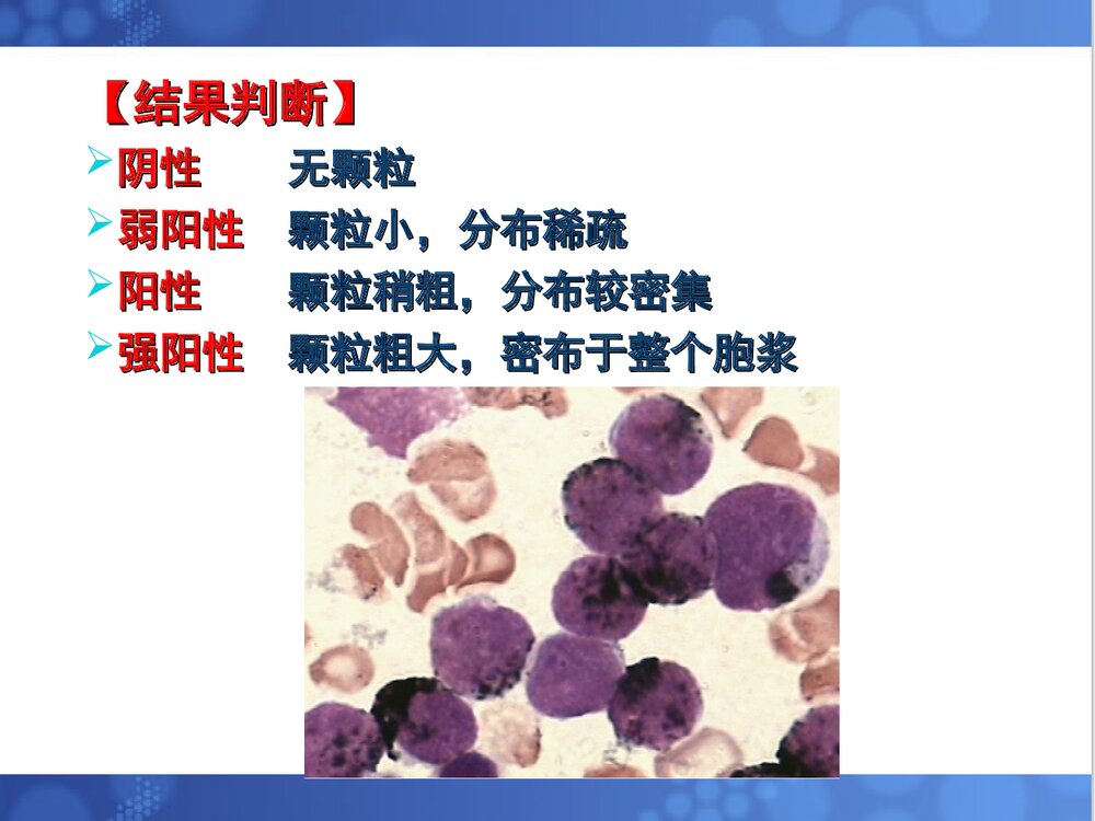第三章 血细胞化学染色PPT课件下载(共73页)10